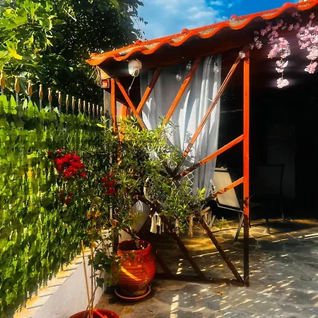 Ermis 1 Apartament *